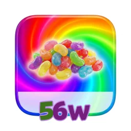 56w